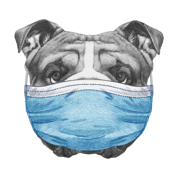 带着医疗面具的狗的肖像 Covid 2019 Corona病毒 — 图库照片