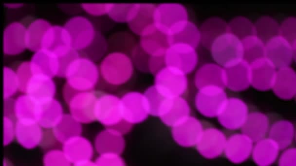 Festive blurred purple background — Stock Video