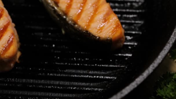 Preparing salmon fillets stock footage food — Stock Video