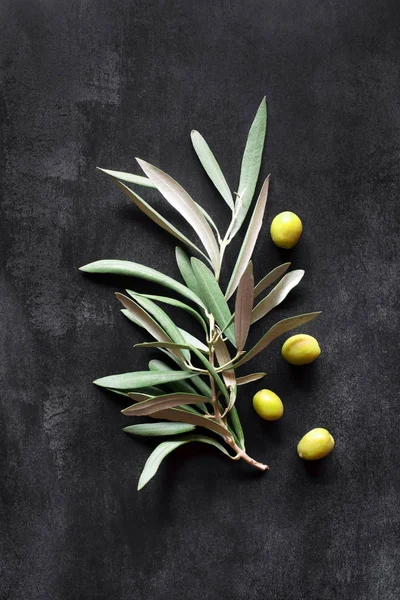 Olivová ratolest na pozadí — Stock fotografie