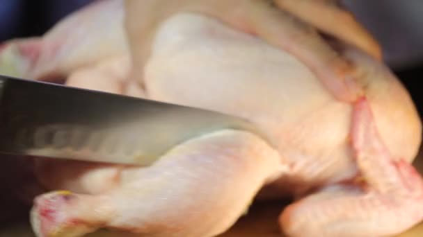 Viande blanche biologique de poulet dans la sauce au curry se prépare sur une poêle lente — Video