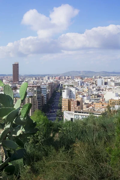 Uitzicht over Alicante, Spanje. Bomen op de voorgrond — Stockfoto