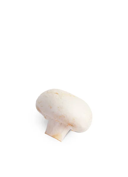 샴 피 뇽 버섯 클로즈업 흰색 배경에 고립. — 스톡 사진