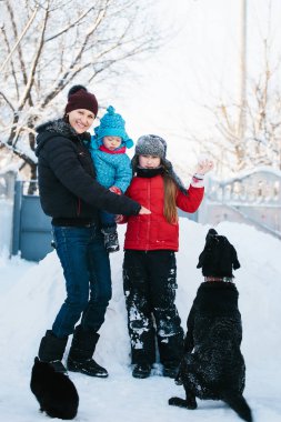 Aile labrador karda oynuyor