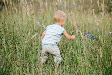 Bir çocuk bir takas çim boyunca yürüyüş