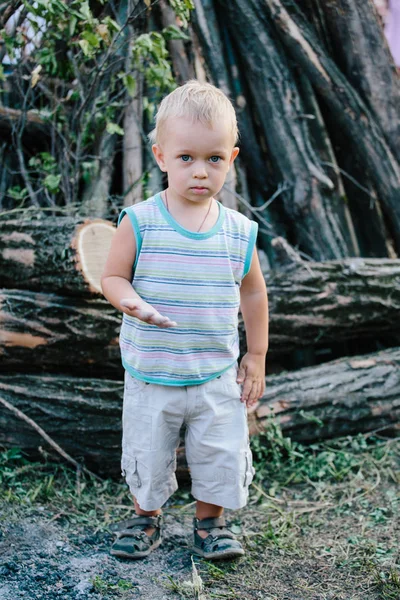 Portret van schattige kleine jongen buiten op de achtergrond van gestapelde brandhout — Stockfoto
