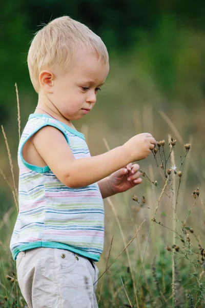 A boy is walking along a clearing in the grass — Stock Photo, Image