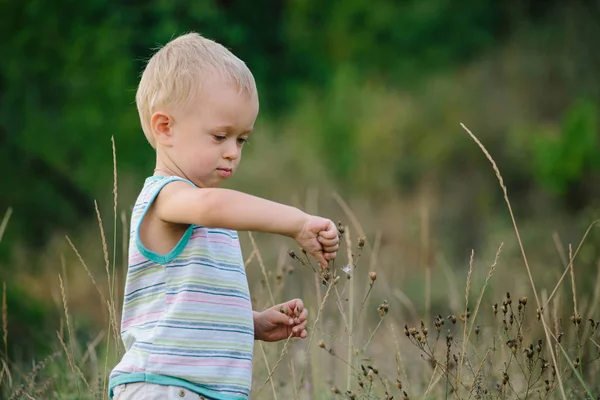 A boy is walking along a clearing in the grass — Stock Photo, Image