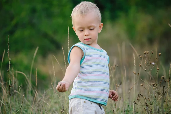 A boy is walking along a clearing in the grass — Stock Photo, Image