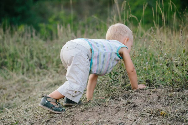 Bir çocuk bir takas çim boyunca yürüyüş
