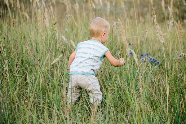 A boy is walking along a clearing in the grass — Stock Photo, Image