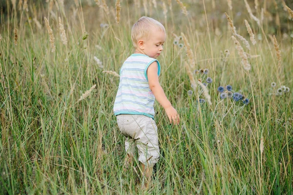 Bir çocuk bir takas çim boyunca yürüyüş