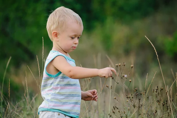 Un niño está caminando por un claro en la hierba Fotos De Stock