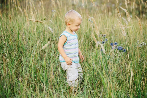 Un niño está caminando por un claro en la hierba Imagen De Stock