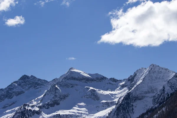 山、木々 と雪のアルプスの景観 — ストック写真