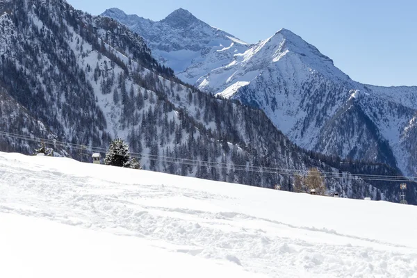 山、木々 と雪のアルプスの景観 — ストック写真