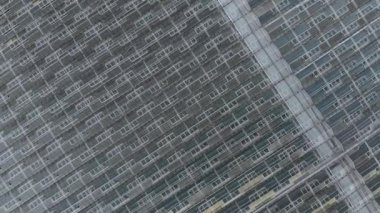 Seranın en iyi manzarası. Doğal taze meyve ve sebzelerin yetiştirilmesi..