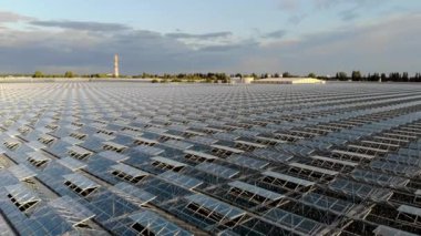 Seranın en iyi manzarası. Doğal taze meyve ve sebzelerin yetiştirilmesi..