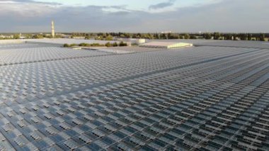 Seranın en iyi manzarası. Doğal taze meyve ve sebzelerin yetiştirilmesi..