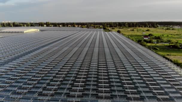 Flyger över ett stort växthus med frukt och grönsaker. — Stockvideo