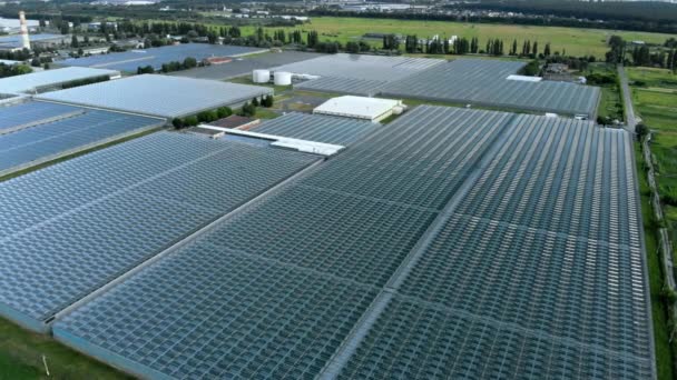 Top view of the greenhouse.Cultivation of natural fresh fruits and vegetables. — Stock Video