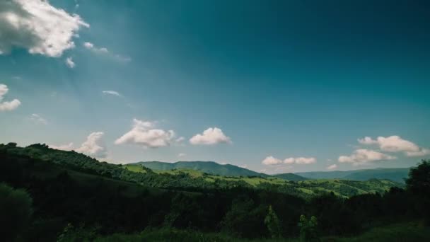 Time lapse of clouds moving over tree tops on blue sky background. — Stock Video