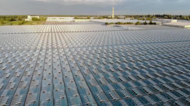 Seranın en iyi manzarası. Doğal taze meyve ve sebzelerin yetiştirilmesi..