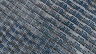 Seranın en iyi manzarası. Doğal taze meyve ve sebzelerin yetiştirilmesi..