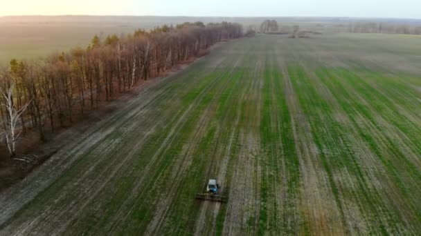 Luchtfoto, landbouwtrekker ploegt een veld bij zonsondergang. — Stockvideo