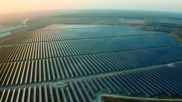 Ovanifrån av ett solkraftverk, förnybar energi, solpaneler. — Stockvideo