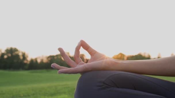 Ruce dívka v namaste mudra pózovat při meditaci na zelené trávě při západu slunce. — Stock video