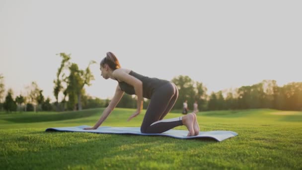 Yeşil çimenlerin üzerinde bir parkta genç bir kız bir tahtada duruyor, gün batımında spor yapıyor.. — Stok video