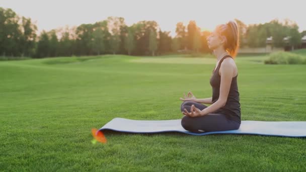 Yeşil çimlerin üzerinde yoga yapan genç bir kız. — Stok video