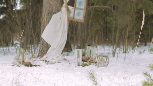 Décorations de Noël sur un coffre en épicéa — Video