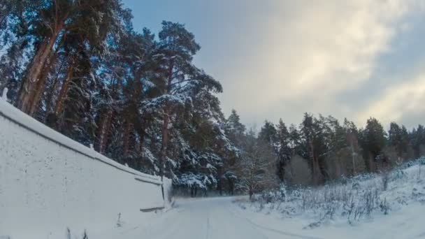 Путешествие в зимний лес — стоковое видео