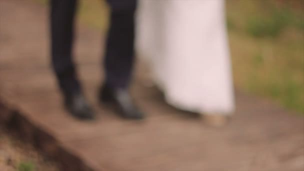 La novia y el novio están en el camino de madera — Vídeo de stock