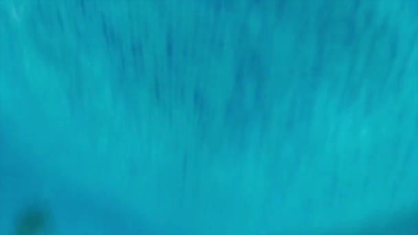 Nadador voltea su cabeza bajo el agua en la piscina — Vídeo de stock