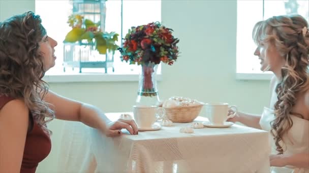 Tea Party With Marshmallow Bride and Her Friend — Stock Video