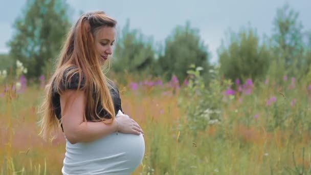 Mujer joven embarazada en Feild en el día de verano — Vídeos de Stock