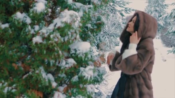 棕褐色毛皮大衣刷在冬季行走缓慢运动的黑发女孩 — 图库视频影像