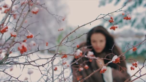 Брюнетка стильная женщина возле куста с красными ягодами замедленной съемки — стоковое видео