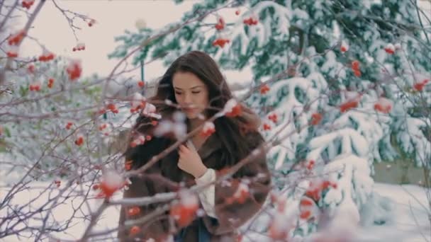 Брюнетка стильная женщина возле куста с красными ягодами замедленной съемки — стоковое видео