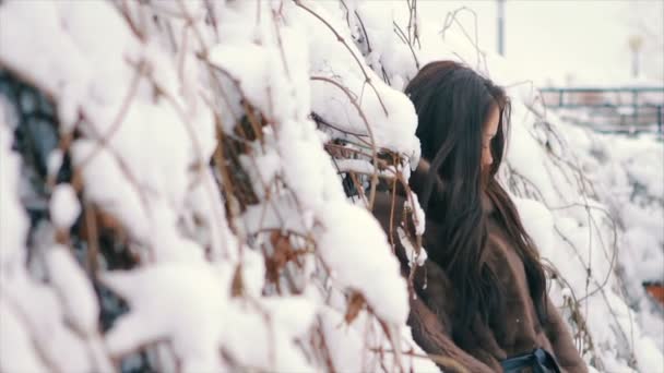 Barna gazdag nő a derék kabát a barna szőr, háttérben a karácsonyfa-lassú mozgás — Stock videók