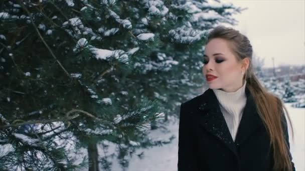 Barna gazdag nő fekete kabátot, háttérben a karácsonyfa-lassú mozgás — Stock videók