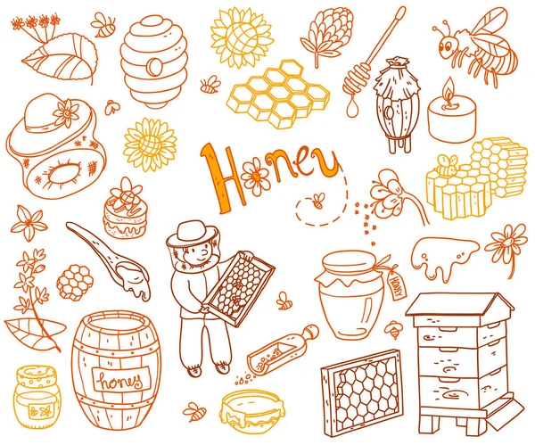 Honey element doodle ilustrace — Stockový vektor