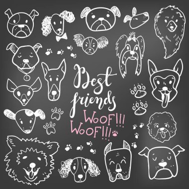 Komik köpek Icons collection tebeşir gemide doodle. Evde beslenen hayvan, çocuk çizilmiş tasarım el çekilmiş. Şirin modern zarif stil, farklı doğurmak