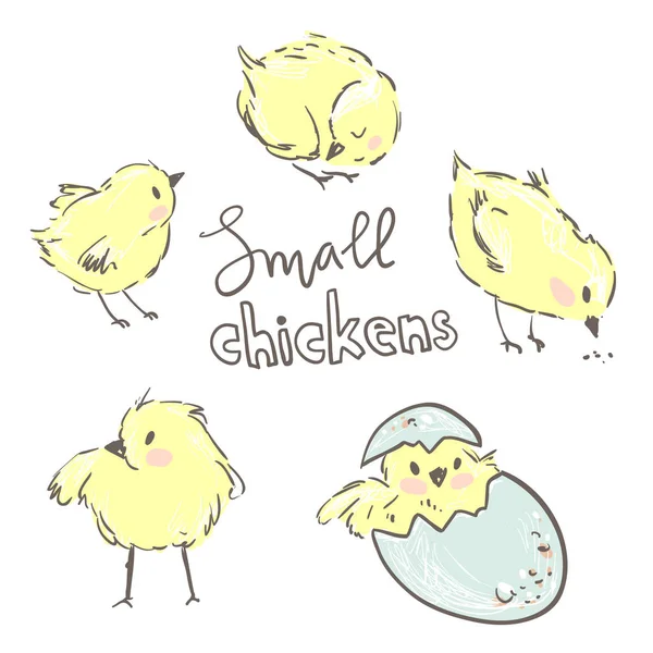 Set Cute Characters Small Yellow Chickens Vector Illustration Easter Concept — Stock Vector