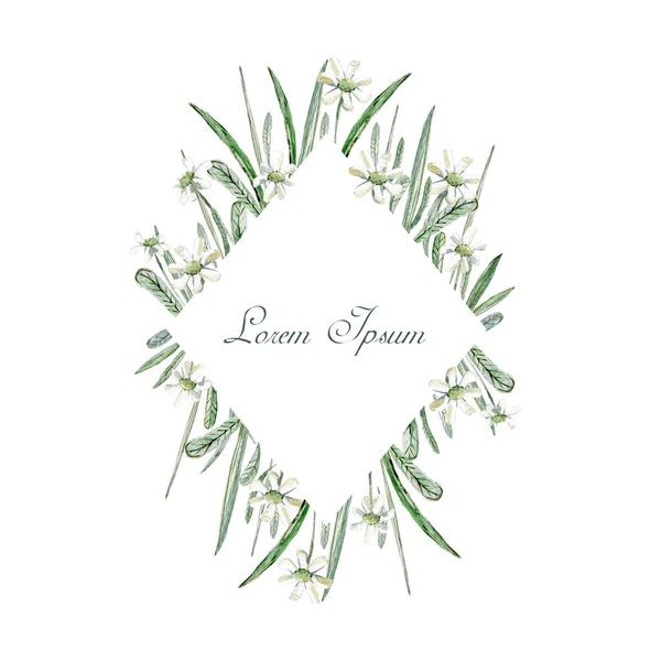 Aquarel Hand Getekende Frame Uitnodiging Sjabloon Card Bloemen Kruiden Bladeren — Stockfoto