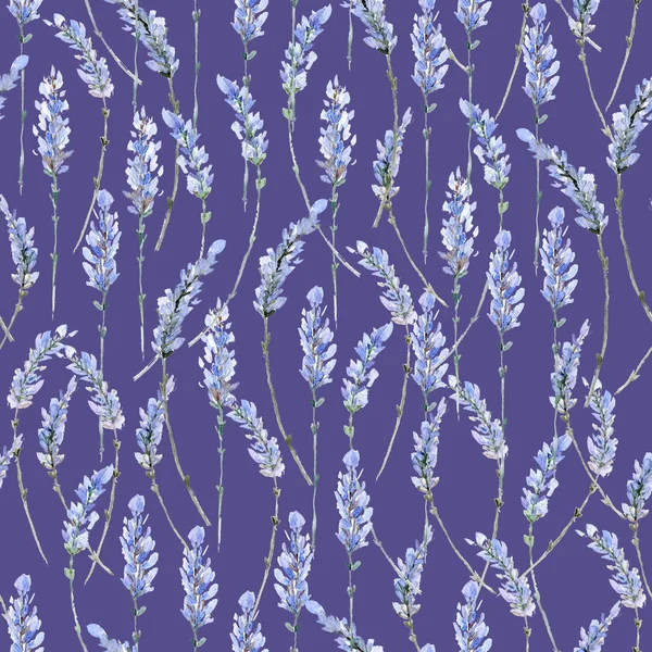 Ilustração Realista Aquarela Padrão Sem Costura Floral Provence Azul Lavanda — Fotografia de Stock