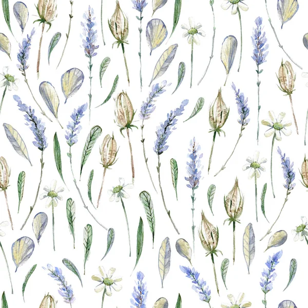 Akwarele Realistyczne Ilustracje Kwiatowy Wzór Provence Lawenda Rumianek Zioła — Zdjęcie stockowe